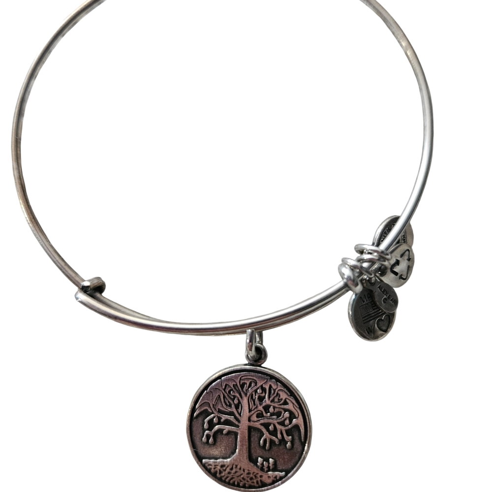 Alex And Ani Charm Bracelet Tree of Life Silver Tone Jewelry 2015 Dangle